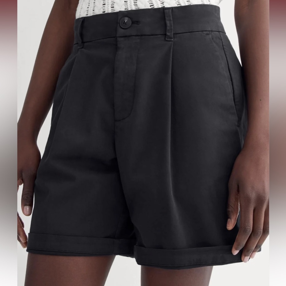 Everlane The Pleated Chino Shorts